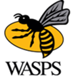Wasps Rugby Football Club